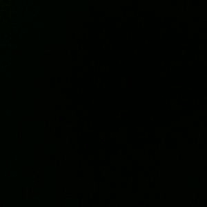 Meet your Posher, Nikolas